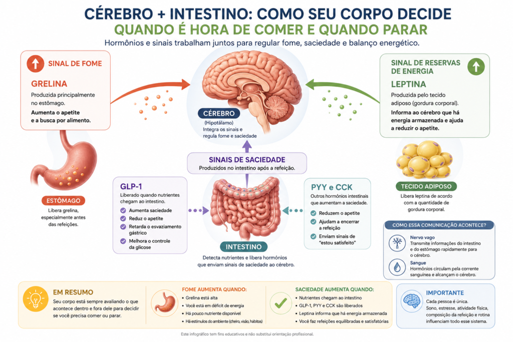 Infográfico mostrando como cérebro, intestino, estômago e tecido adiposo participam da regulação da fome e da saciedade por meio de grelina, leptina e GLP-1.
